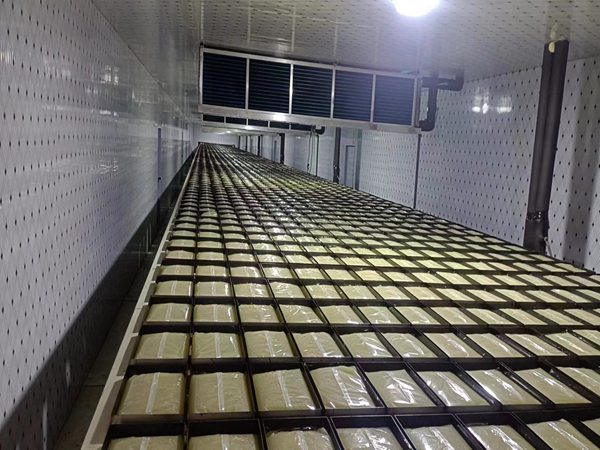 青島賽邦的碼垛機器人生產(chǎn)線